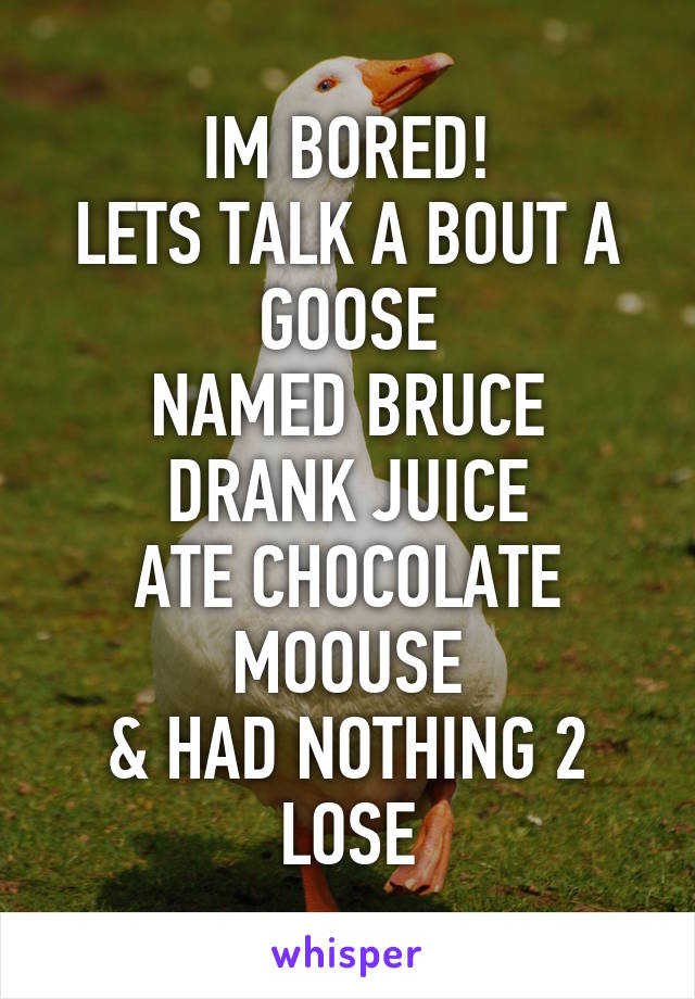 IM BORED!
LETS TALK A BOUT A GOOSE
NAMED BRUCE
DRANK JUICE
ATE CHOCOLATE MOOUSE
& HAD NOTHING 2 LOSE