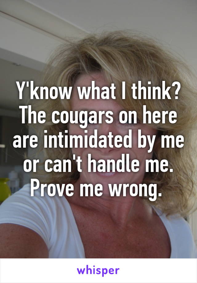 Y'know what I think? The cougars on here are intimidated by me or can't handle me. Prove me wrong. 