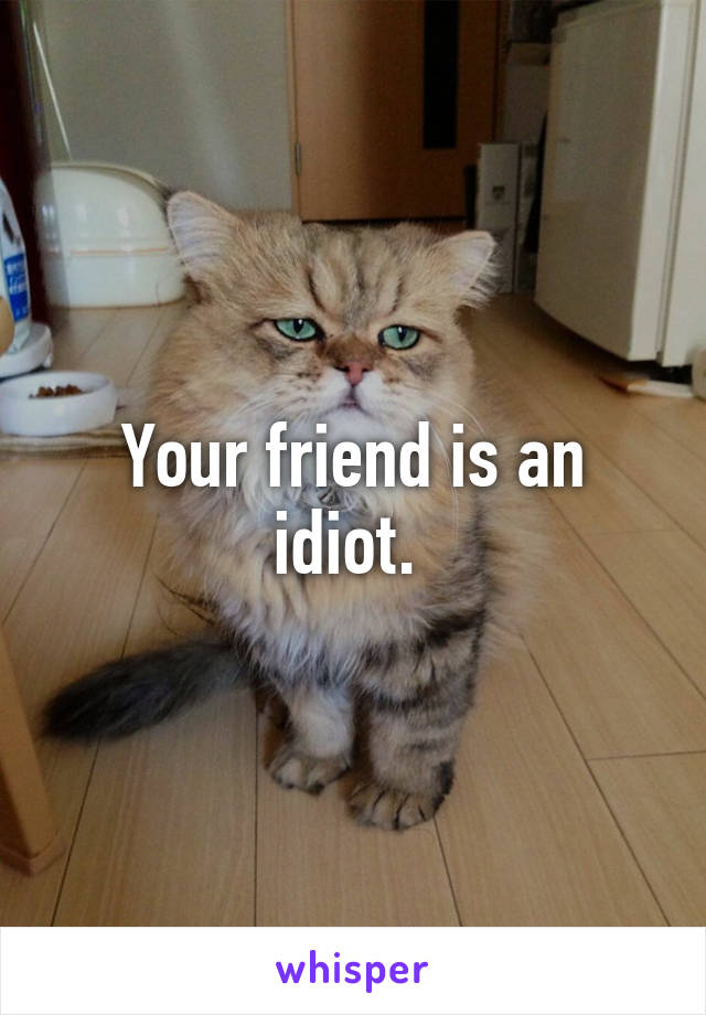 Your friend is an idiot. 