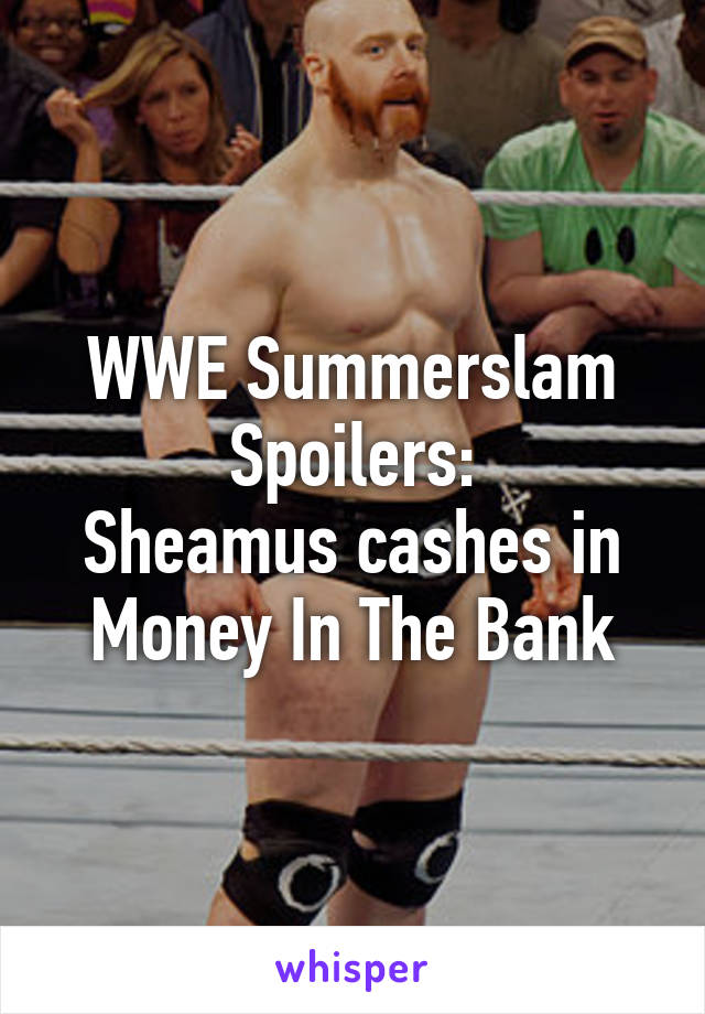 WWE Summerslam Spoilers:
Sheamus cashes in Money In The Bank