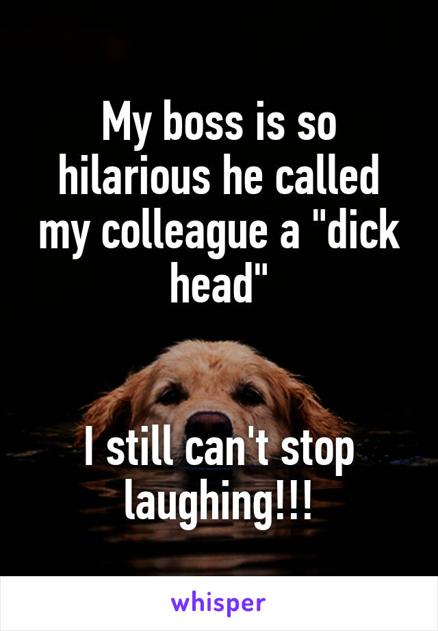 My boss is so hilarious he called my colleague a "dick head"


I still can't stop laughing!!!