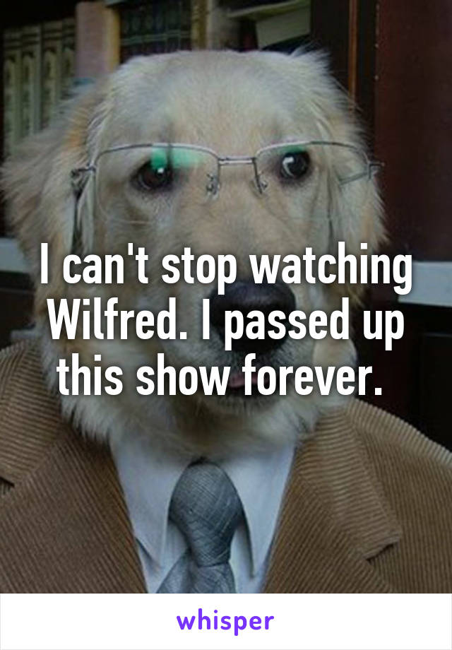 I can't stop watching Wilfred. I passed up this show forever. 