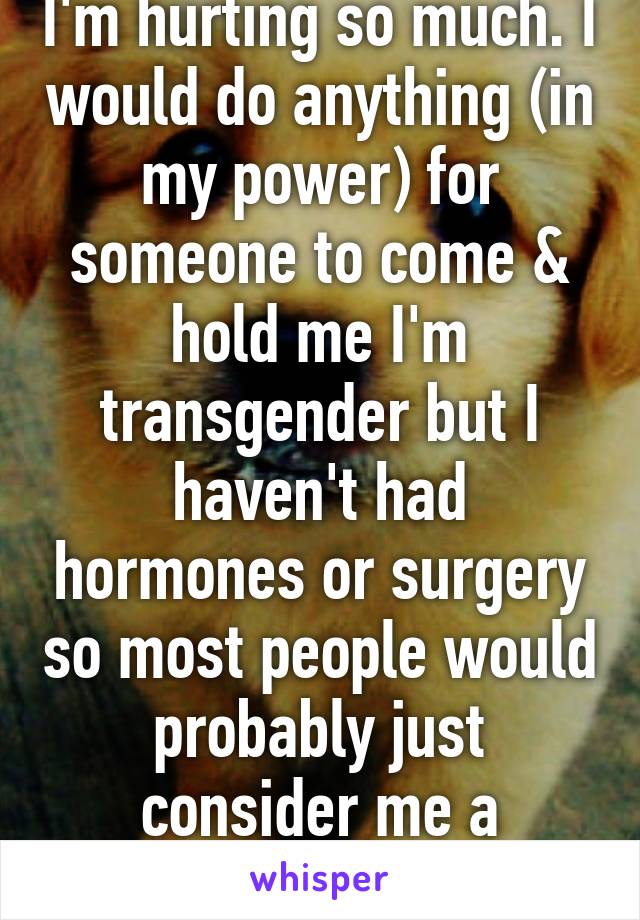 I'm hurting so much. I would do anything (in my power) for someone to come & hold me I'm transgender but I haven't had hormones or surgery so most people would probably just consider me a feminine guy