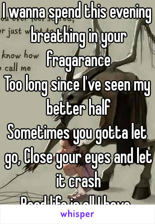 I wanna spend this evening breathing in your fragarance
Too long since I've seen my better half
Sometimes you gotta let go, Close your eyes and let it crash
Road life is all I have 
