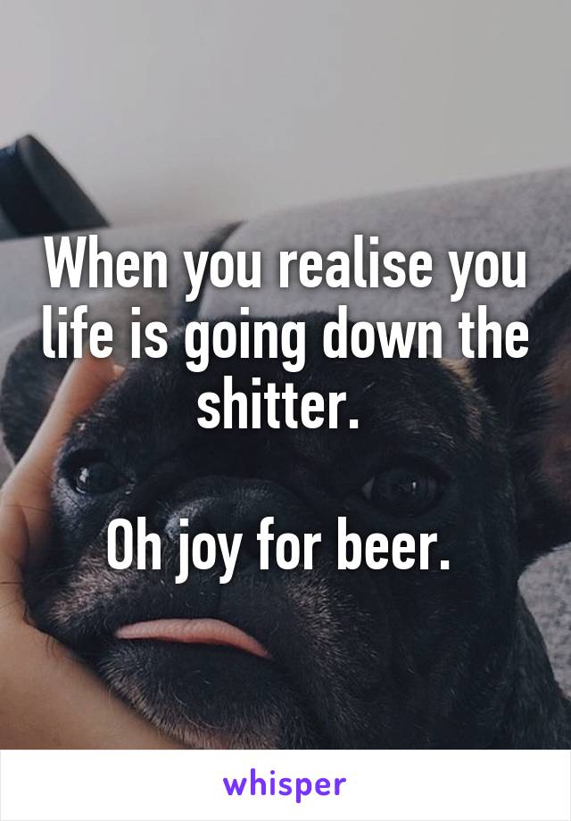 When you realise you life is going down the shitter. 

Oh joy for beer. 