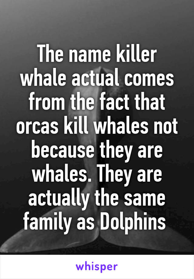 The name killer whale actual comes from the fact that orcas kill whales not because they are whales. They are actually the same family as Dolphins 