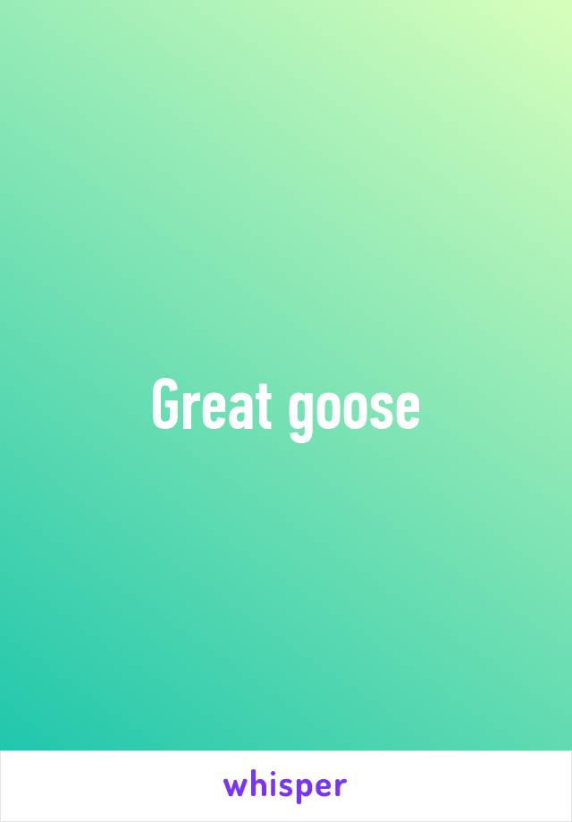 Great goose