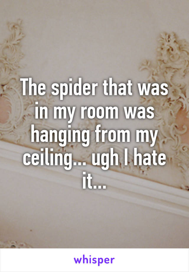 The spider that was in my room was hanging from my ceiling... ugh I hate it...