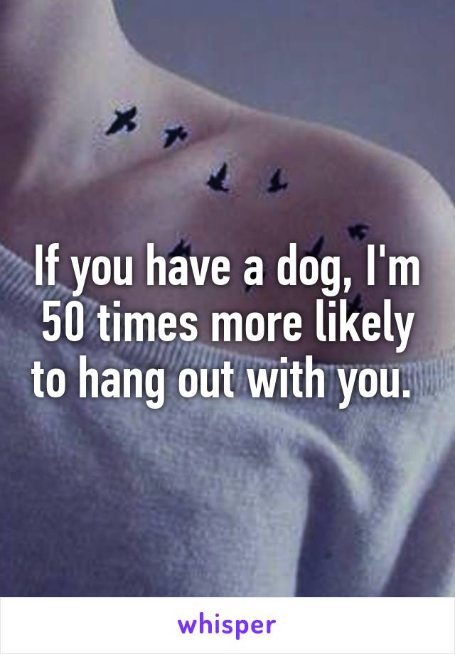 If you have a dog, I'm 50 times more likely to hang out with you. 