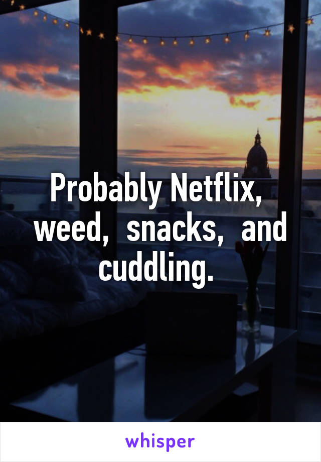 Probably Netflix,  weed,  snacks,  and cuddling. 