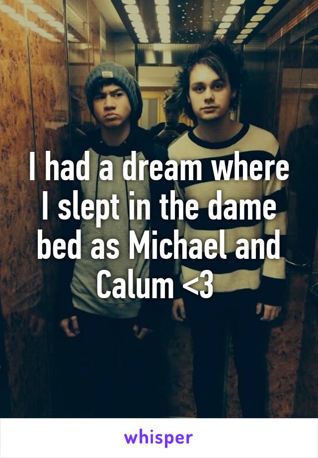 I had a dream where I slept in the dame bed as Michael and Calum <3 