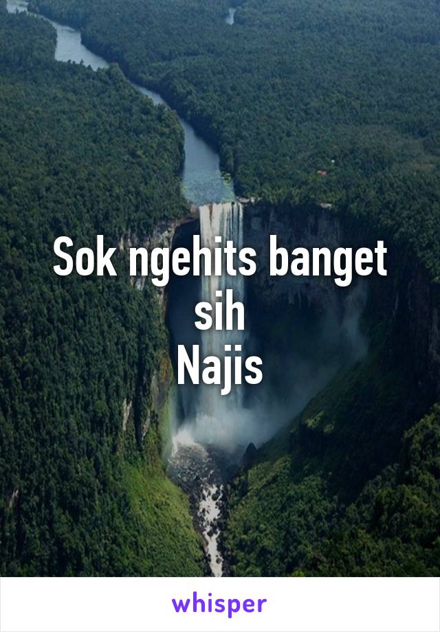 Sok ngehits banget sih
Najis