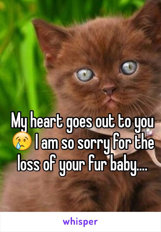 My heart goes out to you 😢 I am so sorry for the loss of your fur baby....