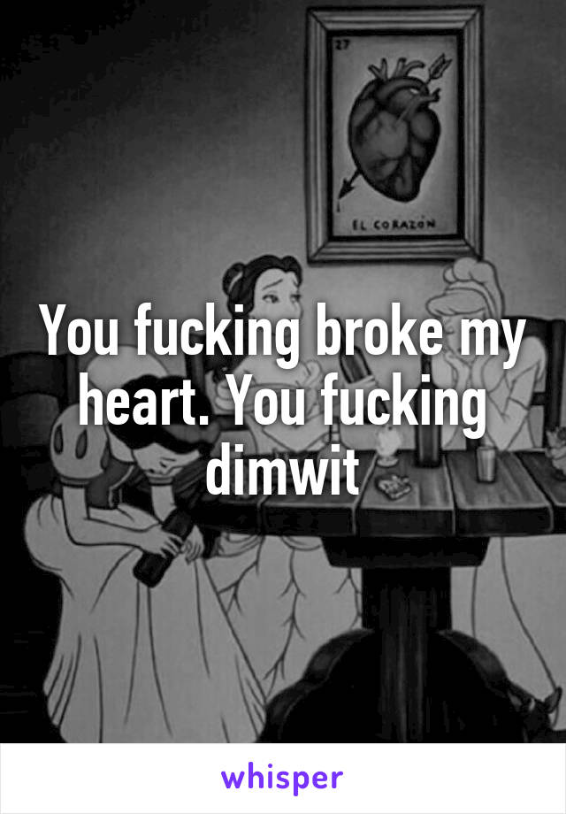 You fucking broke my heart. You fucking dimwit