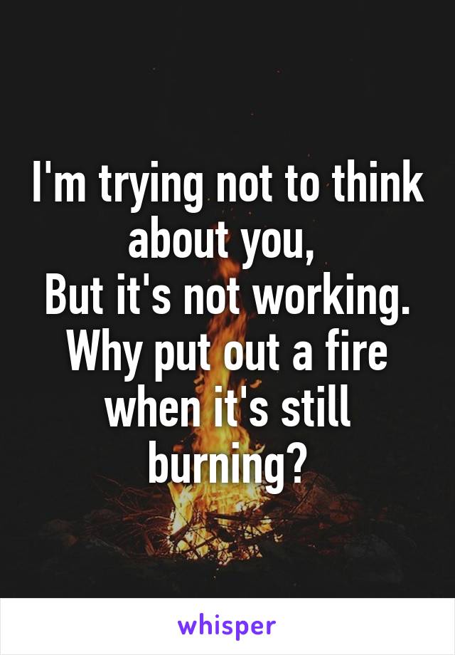 I'm trying not to think about you, 
But it's not working.
Why put out a fire when it's still burning?