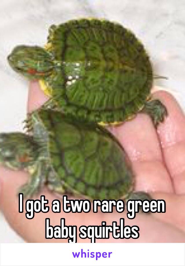 I got a two rare green baby squirtles 