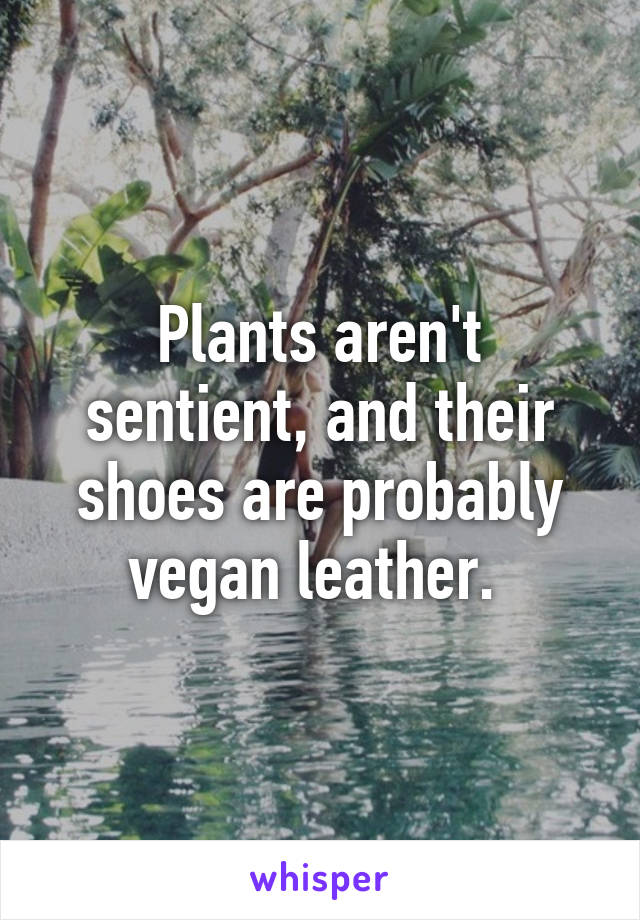 Plants aren't sentient, and their shoes are probably vegan leather. 