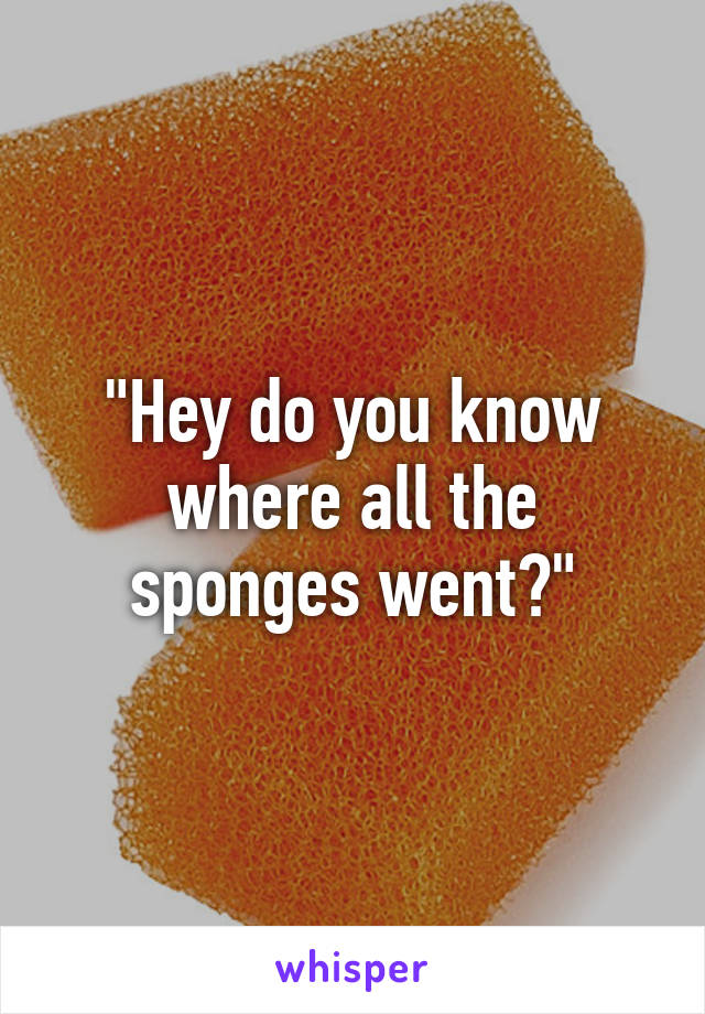 "Hey do you know where all the sponges went?"