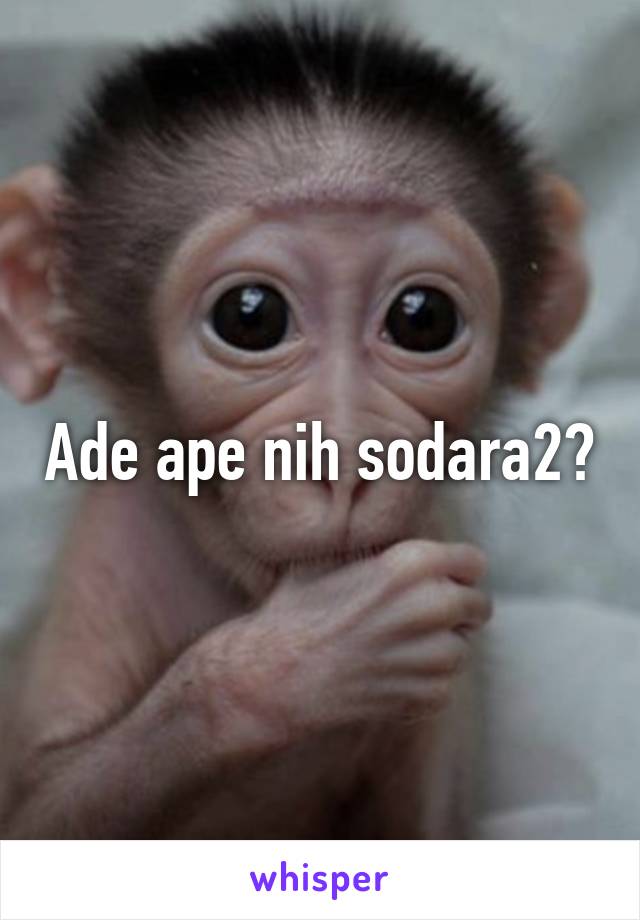 Ade ape nih sodara2?