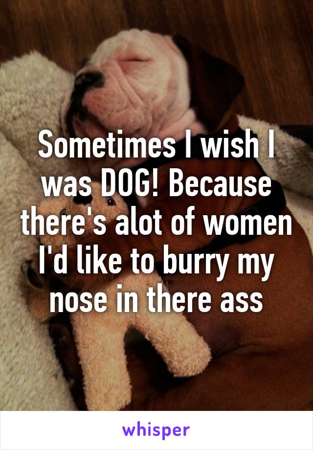 Sometimes I wish I was DOG! Because there's alot of women I'd like to burry my nose in there ass