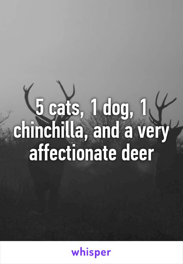 5 cats, 1 dog, 1 chinchilla, and a very affectionate deer