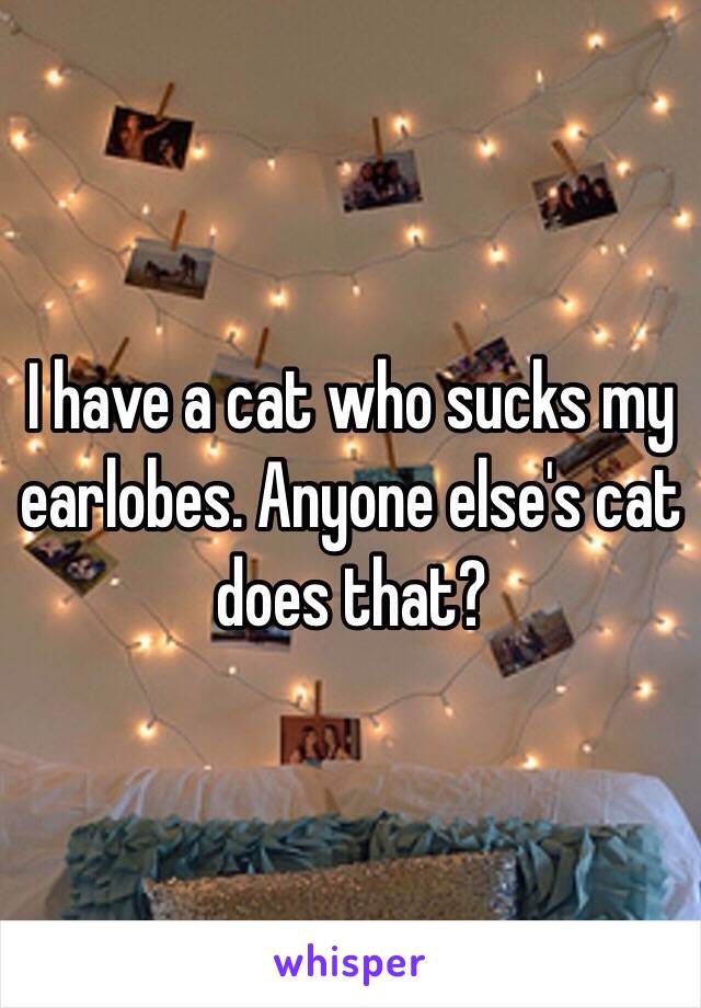 I have a cat who sucks my earlobes. Anyone else's cat does that? 