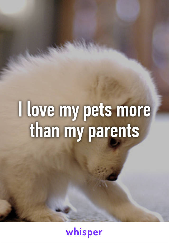 I love my pets more than my parents