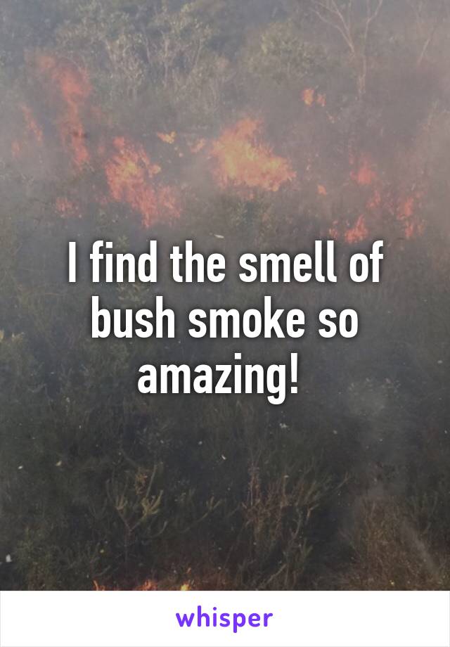 I find the smell of bush smoke so amazing! 