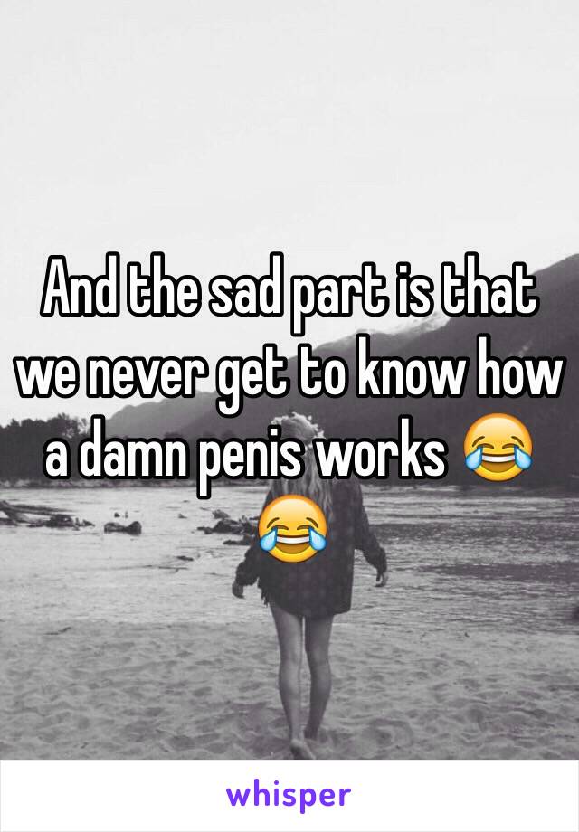 And the sad part is that we never get to know how a damn penis works 😂😂