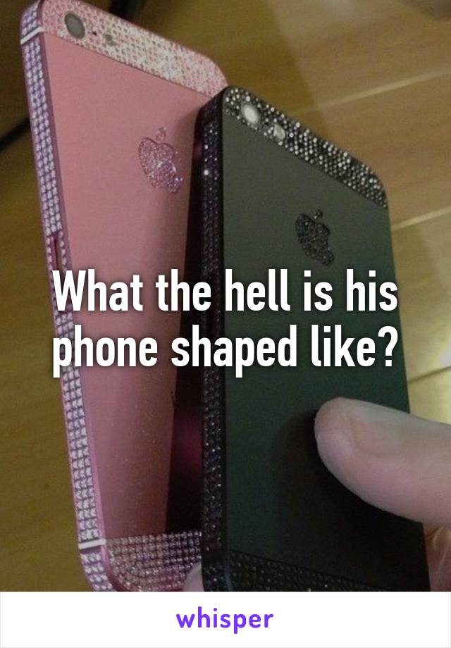 What the hell is his phone shaped like?