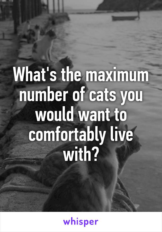 What's the maximum number of cats you would want to comfortably live with?