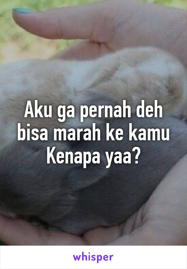 Aku ga pernah deh bisa marah ke kamu
Kenapa yaa?