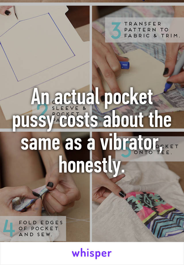 An actual pocket pussy costs about the same as a vibrator, honestly.