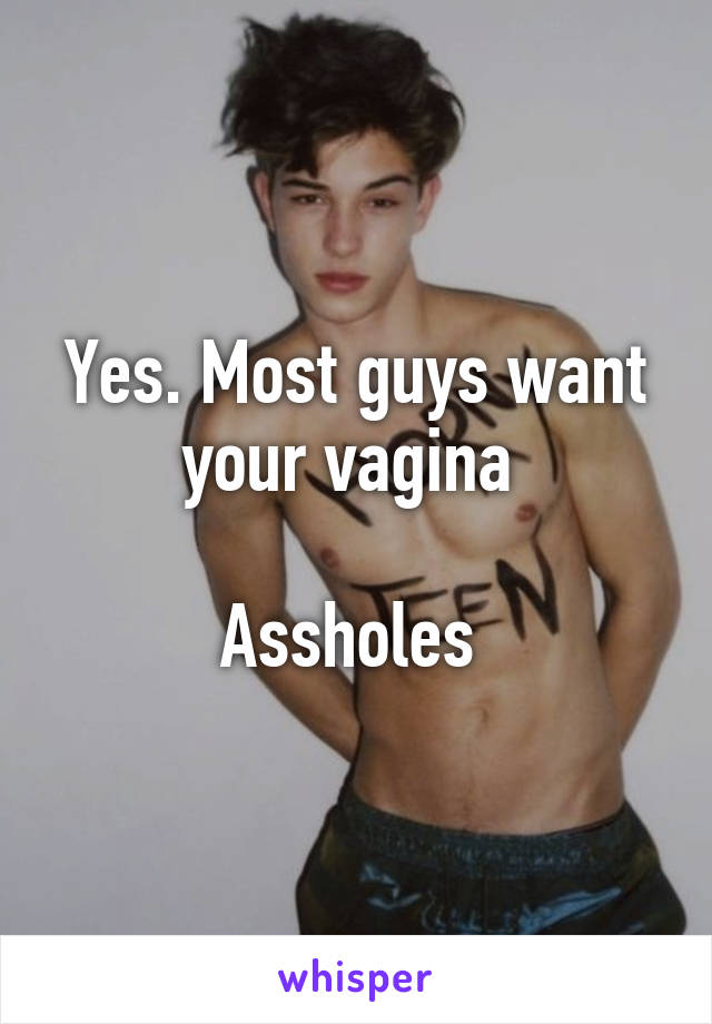 Yes. Most guys want your vagina 

Assholes 