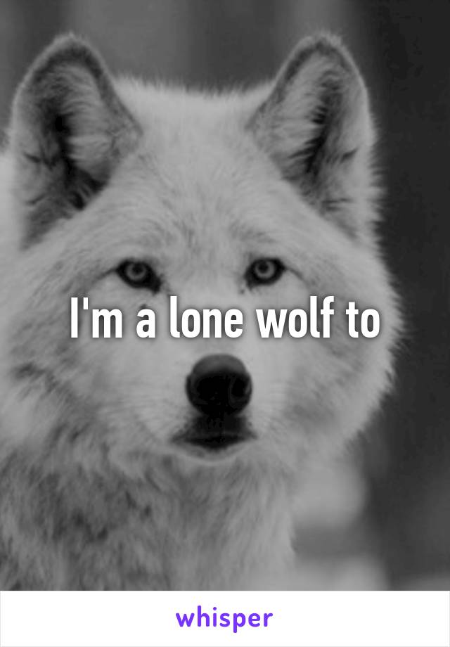 I'm a lone wolf to