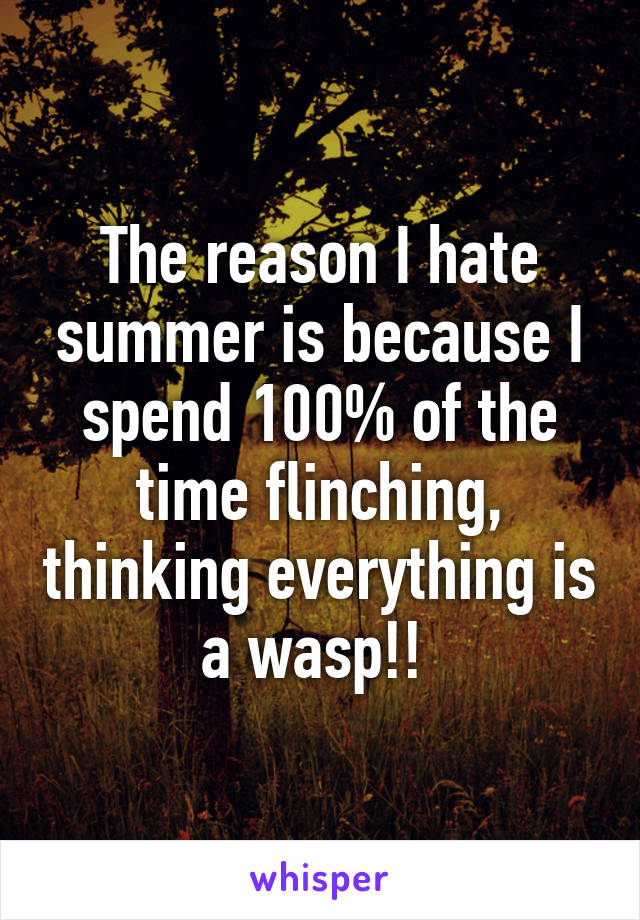 The reason I hate summer is because I spend 100% of the time flinching, thinking everything is a wasp!! 