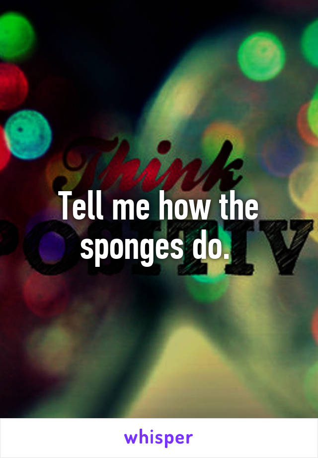 Tell me how the sponges do. 