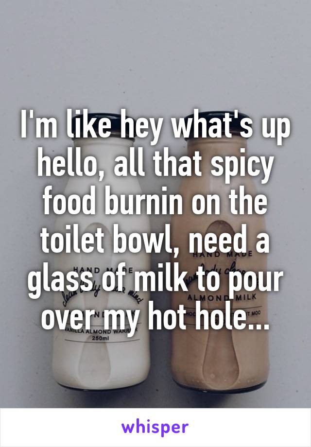 I'm like hey what's up hello, all that spicy food burnin on the toilet bowl, need a glass of milk to pour over my hot hole...