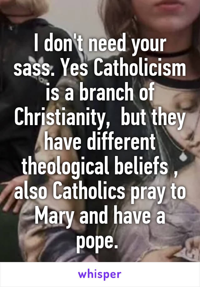 I don't need your sass. Yes Catholicism is a branch of Christianity,  but they have different theological beliefs , also Catholics pray to Mary and have a pope. 