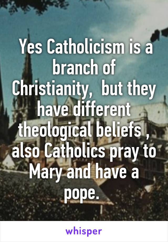  Yes Catholicism is a branch of Christianity,  but they have different theological beliefs , also Catholics pray to Mary and have a pope. 