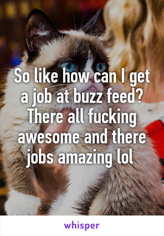 So like how can I get a job at buzz feed? There all fucking awesome and there jobs amazing lol 