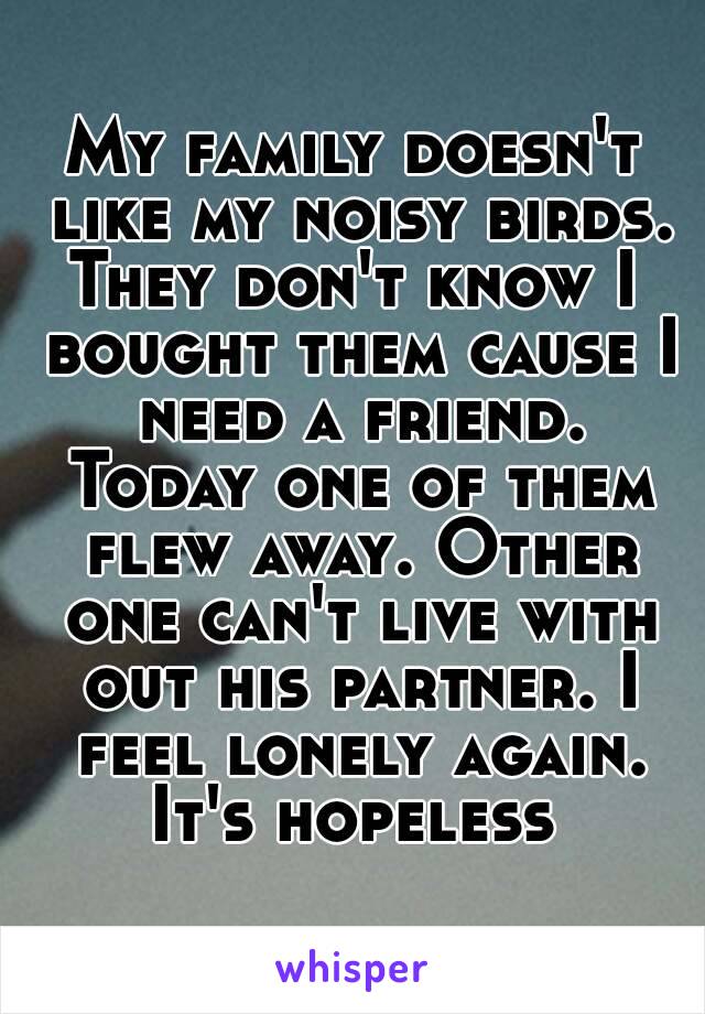 My family doesn't like my noisy birds.
They don't know I bought them cause I need a friend. Today one of them flew away. Other one can't live with out his partner. I feel lonely again.
It's hopeless