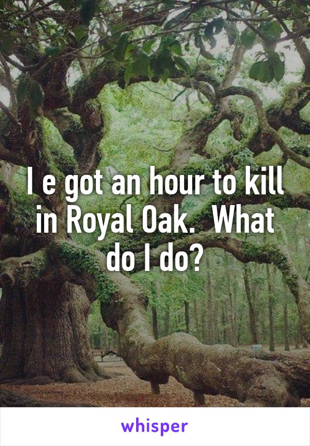 I e got an hour to kill in Royal Oak.  What do I do?