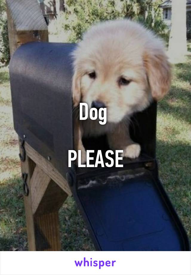 Dog 

PLEASE