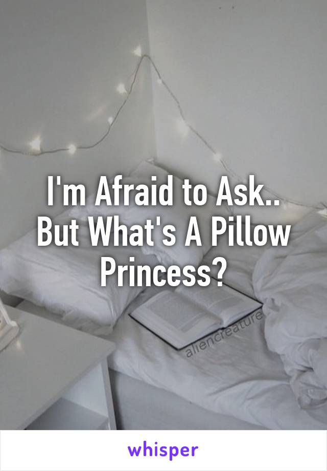 I'm Afraid to Ask.. But What's A Pillow Princess?