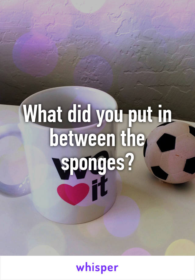 What did you put in between the sponges?