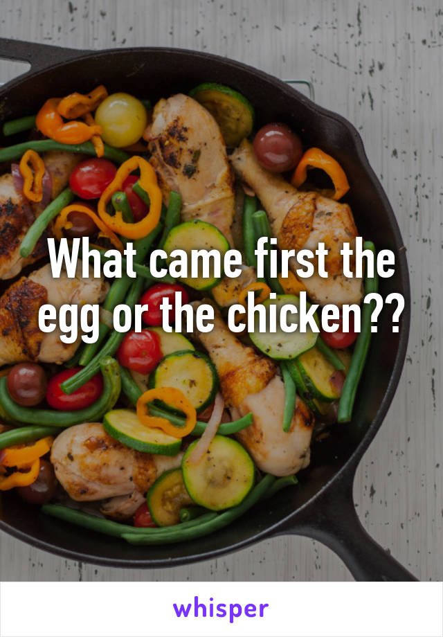 What came first the egg or the chicken??
