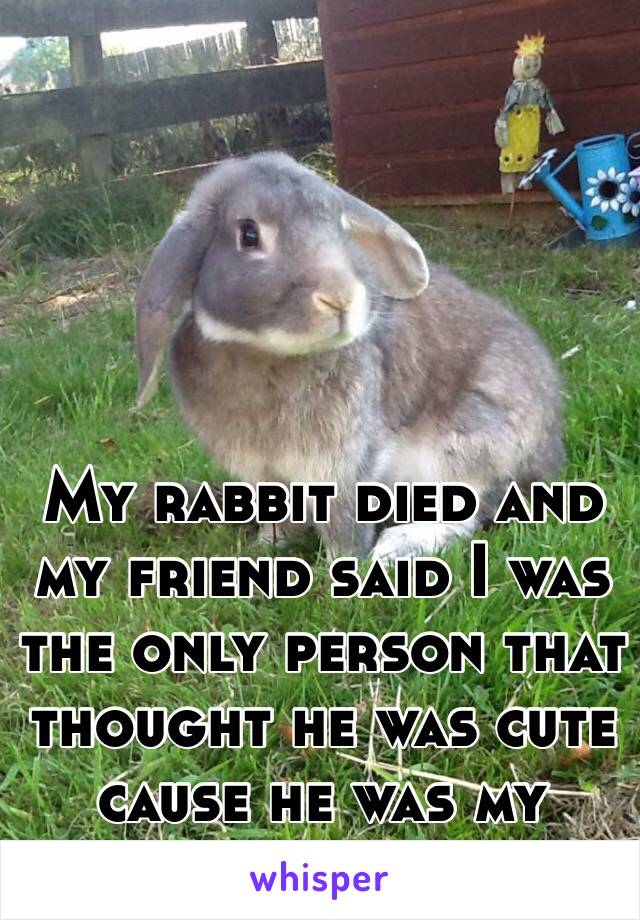 My rabbit died and my friend said I was the only person that thought he was cute cause he was my "pet".