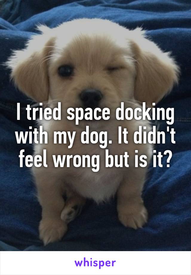 I tried space docking with my dog. It didn't feel wrong but is it?