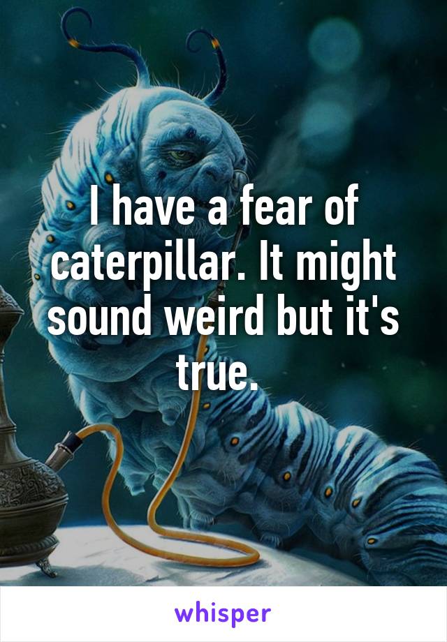 I have a fear of caterpillar. It might sound weird but it's true. 
 